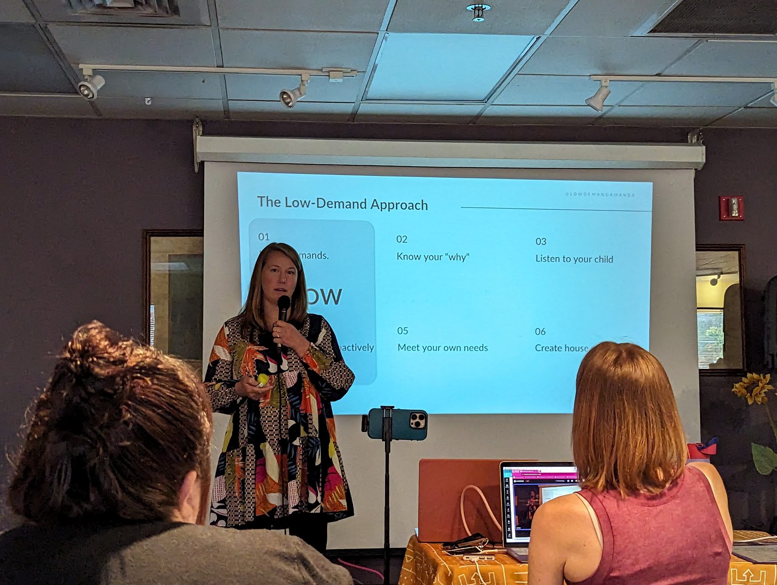 Speaker presenting the low-demand approach to attendees